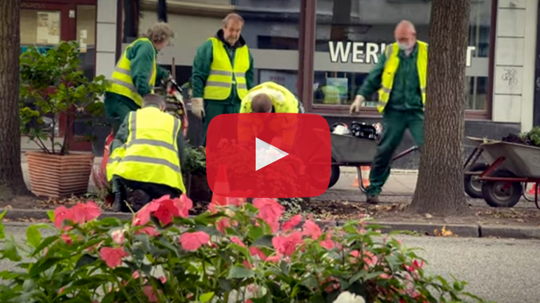 Youtubebeitrag zum Thema Garten- und Landschaftsbau